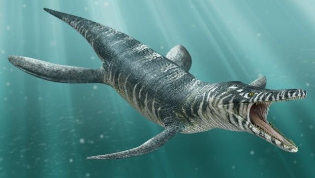  El enigma del cráneo gigante: ¿Criatura prehistórica o monstruo marino?