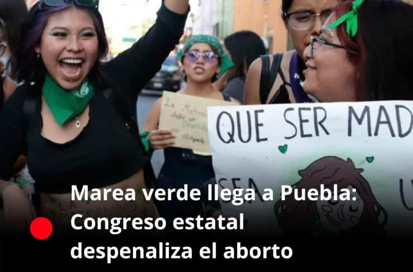 Marea verde llega a Puebla: Congreso estatal despenaliza el aborto