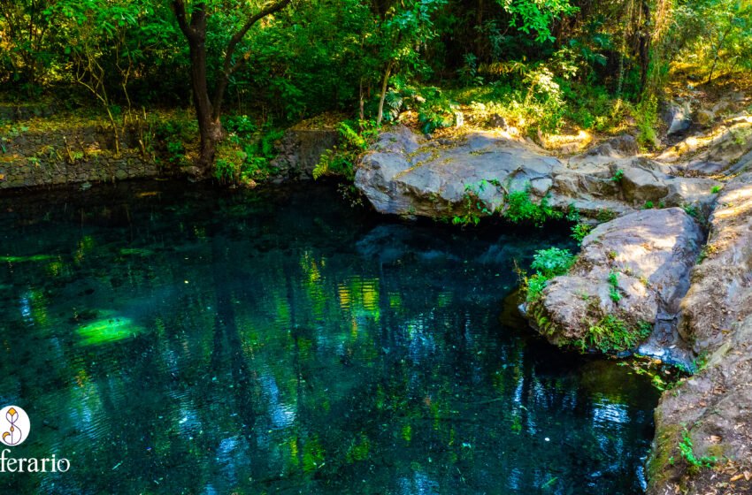  ¿Cuál es la historia detrás del “río que canta” en Uruapan?